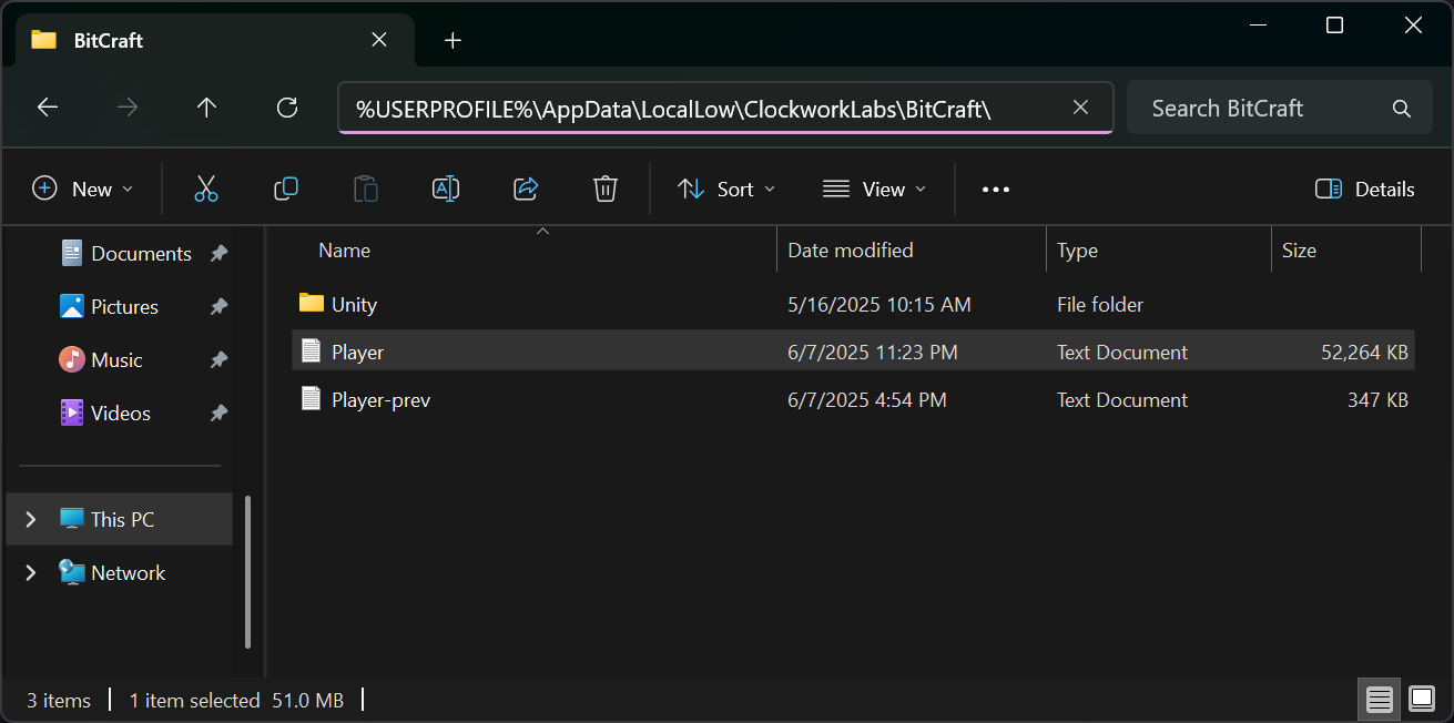player_log_windows.png